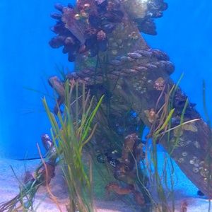 Meet your Posher, Arisbeth